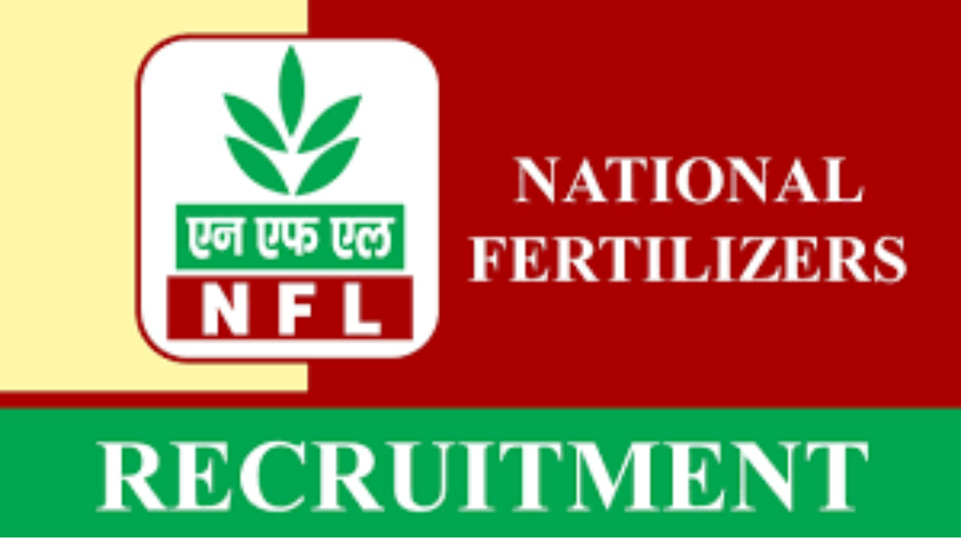 NFL Management Trainee (MT) Recruitment 2023 Notification and Online Form