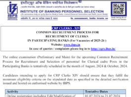 IBPS Clerk Recruitment 2024 CRP-XIV 6128 Posts Notification Out, Apply Online