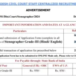 High Court of Allahabad Recruitment 2024: Apply for 580+ Vacancies Now