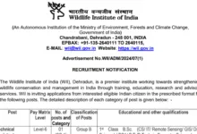 Wildlife Institute of India Recruitment 2024: Apply Offline for Technical Assistant, Junior Stenographer & Other Posts