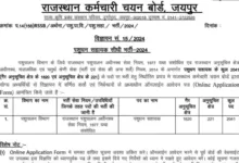 RSMSSB Rajasthan Pashudhan Sahayak (Livestock Assistant) Recruitment 2025 Notification Released For 2041 Post, Apply Online