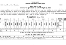 Rajasthan RAU Online Compounder and Nurse (Junior Grade) Recruitment 2024 Notification and Online Form