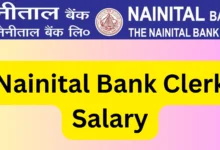 Nainital Bank Clerk Salary 2024: Career Growth, Pay Scale, and Job Profile