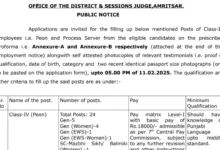 Amritsar Court Peon and Process Server Recruitment 2025 Notification and Offline Application Form