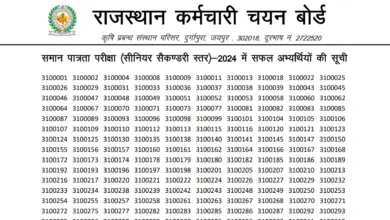 RSMSSB 12th Level CET 2024 Download Result with Mark Sheet and Score Card