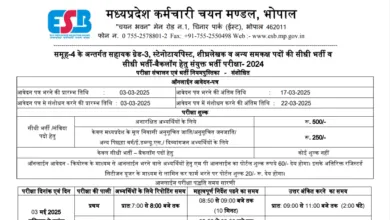 MPESB Group 4 Assistant Grade III, Stenographer & Other Post Recruitment 2025 Apply Online for 966 Posts