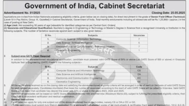Cabinet Secretariat Senior Field Officer Recruitment 2025 Notification and Offline Application Form