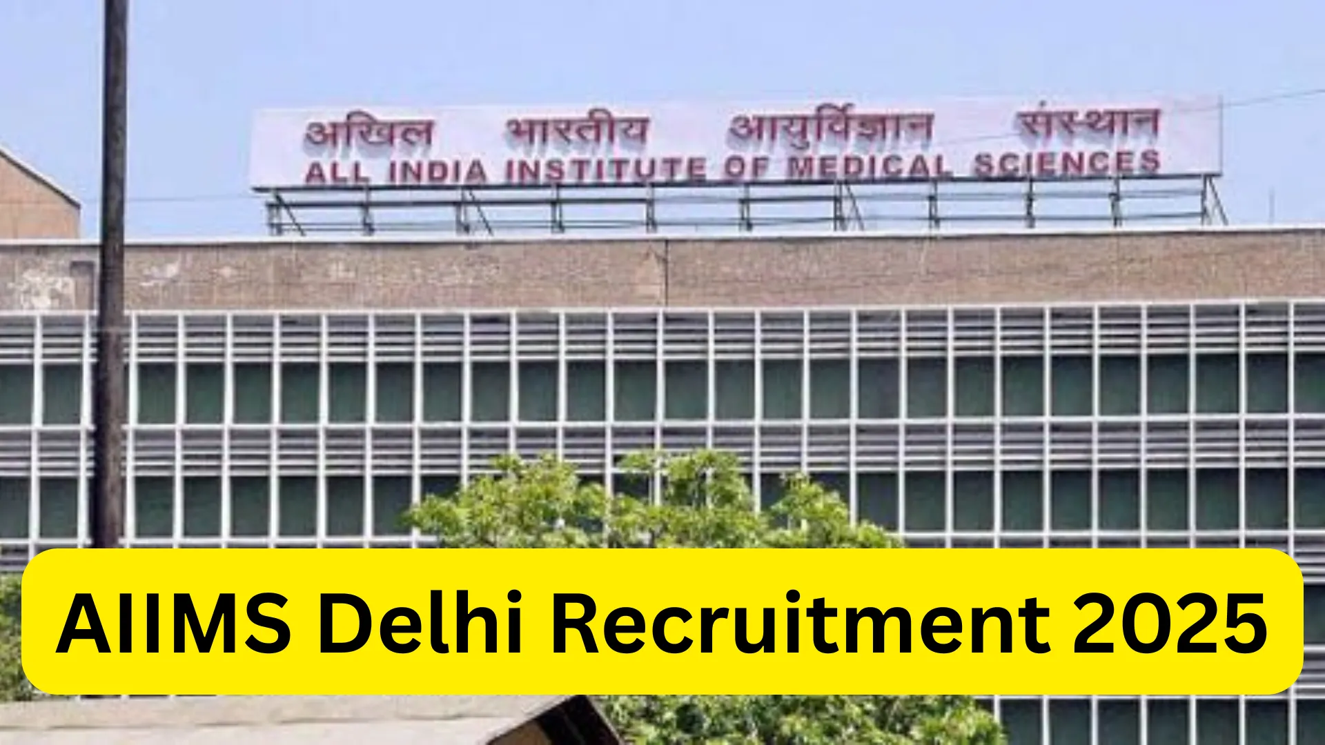 AIIMS Delhi Recruitment 2025 Notification Out for 199 Various Posts, Apply Online