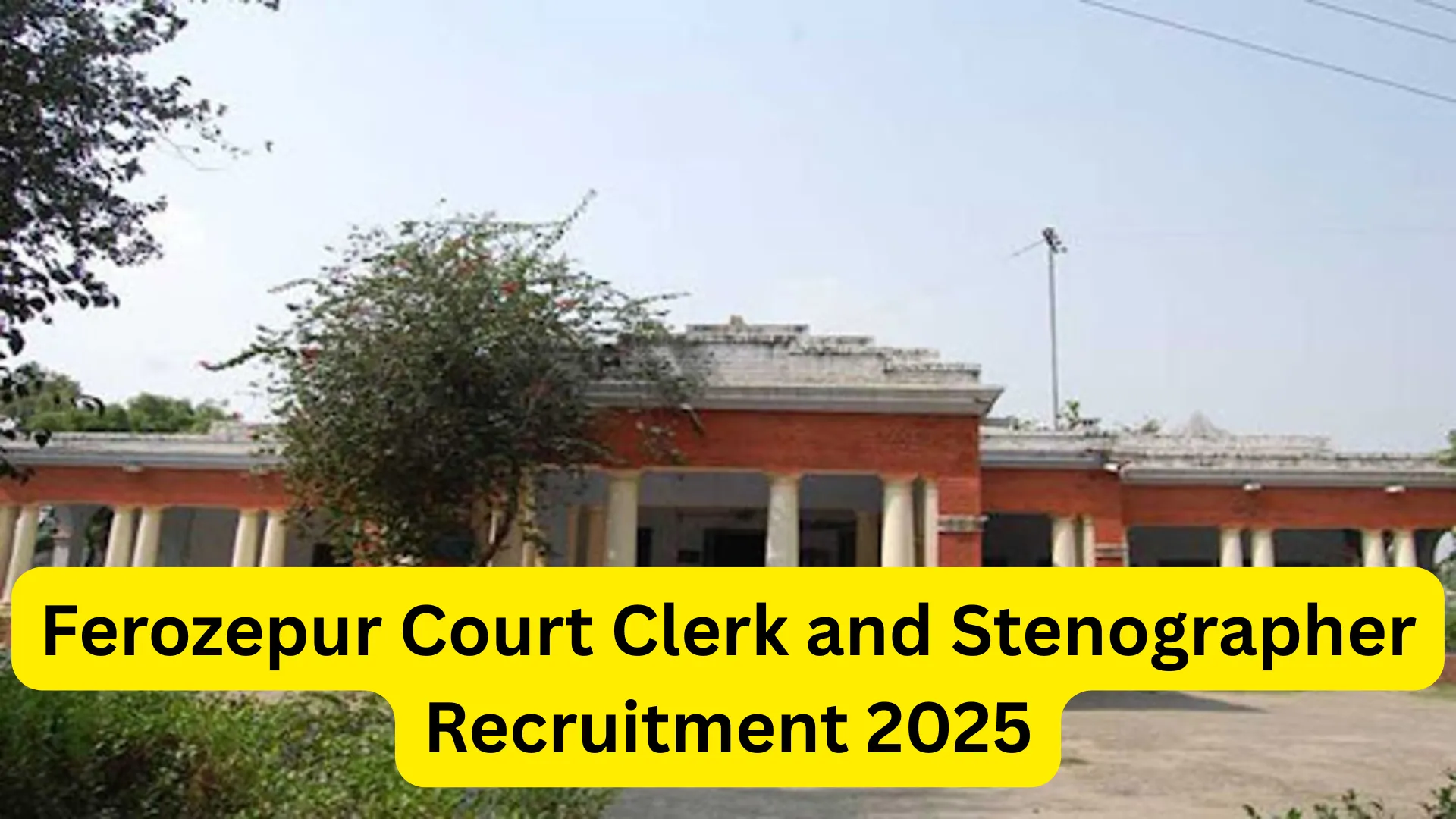 Ferozepur Court Clerk and Stenographer Recruitment 2025 Notification and Offline Form