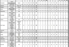 State Bank of India (SBI) Circle Based Officers (CBO) Recruitment 2025 Notification Released and Apply Online for 2600 Posts
