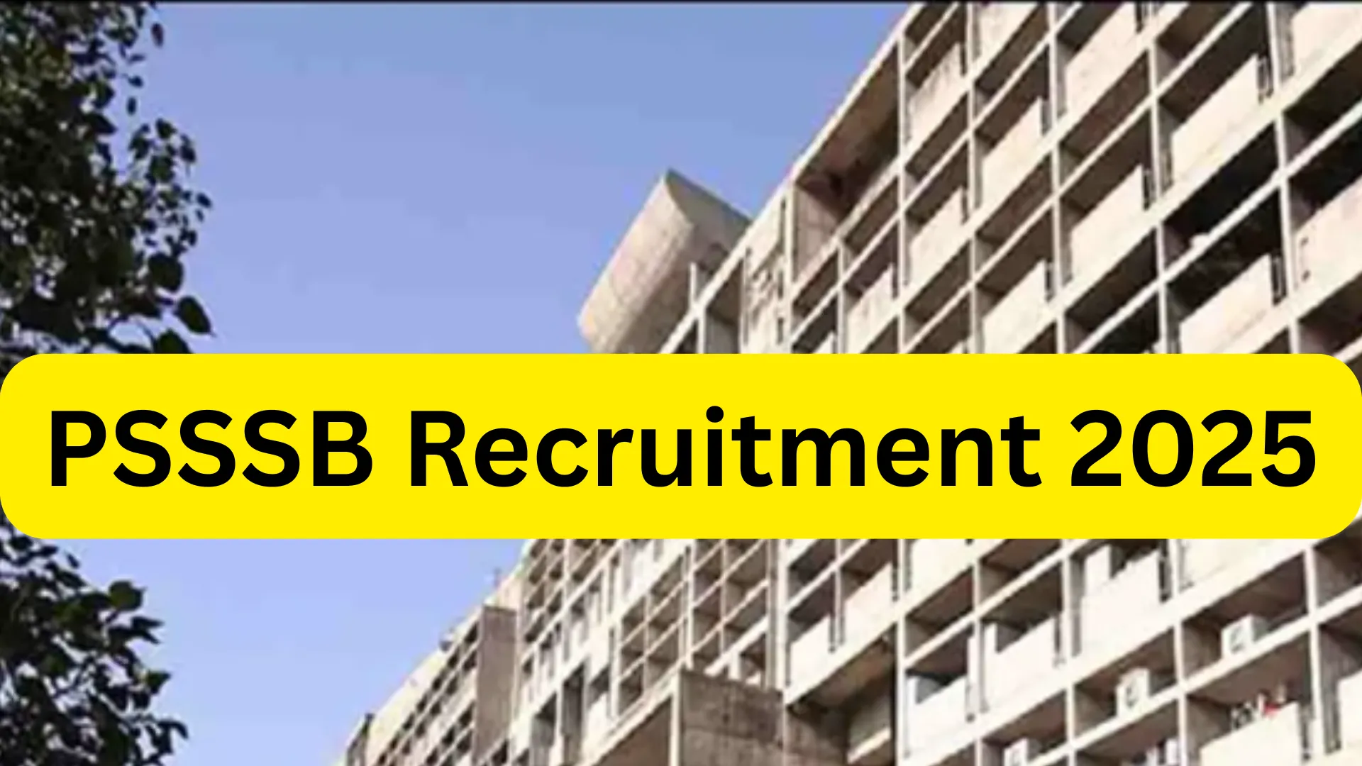 PSSSB Inspectors, Naib Tehsildar & Chief Auditor Recruitment 2025 Notification Released and Apply Online for 151 Posts