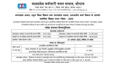 MPESB Primary School Teacher (PSTST) Recruitment 2025 Notification Released for Posts, Apply Online