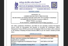IBPS Probationary Officer (PO) / Management Trainee (MT) Recruitment 2025 Notification Released and Apply Online for 5208 Posts