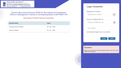 IBPS Probationary Officer (PO) / Management Trainee (MT) 15th Exam Result 2025 Released, Check Now