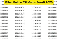 BPSSC Bihar Police Enforcement Sub Inspector (ESI) Exam Result 2025 Released, Check Now