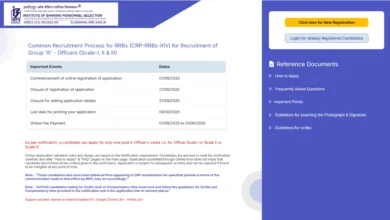 IBPS RRB XIV Officer, Office Assistant Recruitment 2025 Notification Released and Apply Online for 13217 Posts