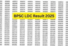Bihar BPSC Lower Division Clerk (LDC) Result 2025 Released, Download PDF