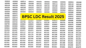 Bihar BPSC Lower Division Clerk (LDC) Result 2025 Released, Download PDF