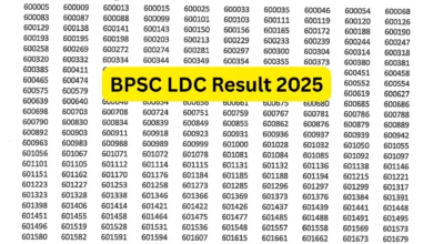 Bihar BPSC Lower Division Clerk (LDC) Result 2025 Released, Download PDF
