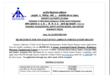 AAI NER Non Executive Junior & Senior Assistant Recruitment 2025 Notification Released, Apply Online