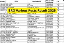 BRO Driver Mechanical Transport Recruitment 2024 Exam Result 2025 Released for 417 Posts – Download PDF