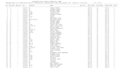 RPSC RAS 2024 Final Result 2026 Released, Download Merit List PDF