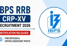 IBPS RRB CRP-XV Recruitment 2026 Notification Released for Officer & Office Assistant Posts, Apply Online