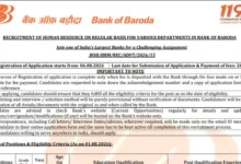 Bank of Baroda Specialist Officer (SO) Recruitment 2026 Notification Released for 206 Posts, Apply Online