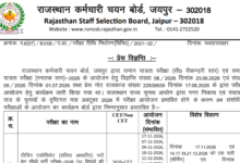 Rajasthan RSSB CET (Graduation Level) Exam Date & Admit Card 2026 Released, Check Now